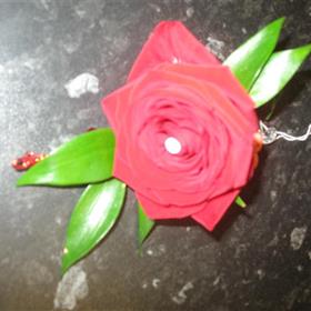 fwthumbnew flower pictures 124.jpg